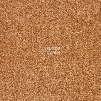 Ковролин AW Seduction 80 фото 1 | FLOORDEALER